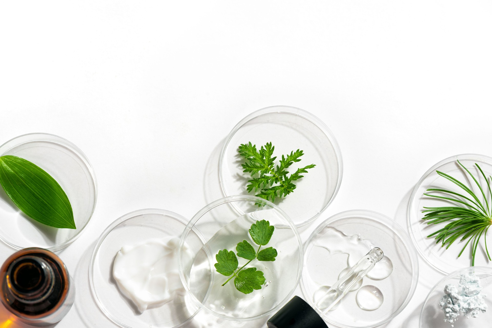 Petri dishes, cosmetic gel and plants